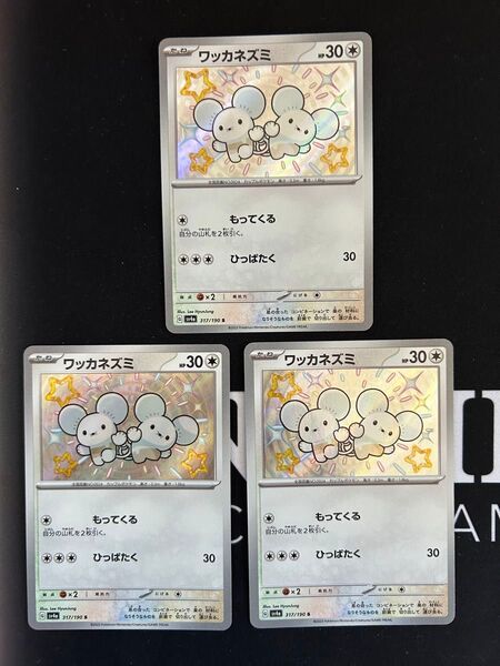 ワッカネズミ 色違い S 3枚セット