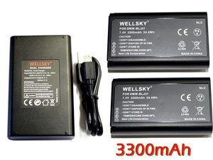DMW-BLJ31 互換バッテリー 2個 & DMW-BTC14 [ デュアル ] USB 急速 互換充電器 バッテリーチャージャー 1個 [ 3点セット ] DC-S1R