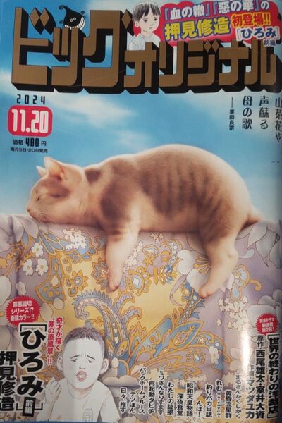 ビッグコミックオリジナル 2024年 22号