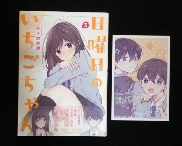 日曜日のいちごちゃん 3巻 アニメイト