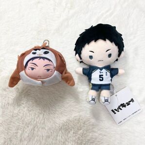 ハイキュー あにずきん むにゅぐるみ BC 赤葦 セット