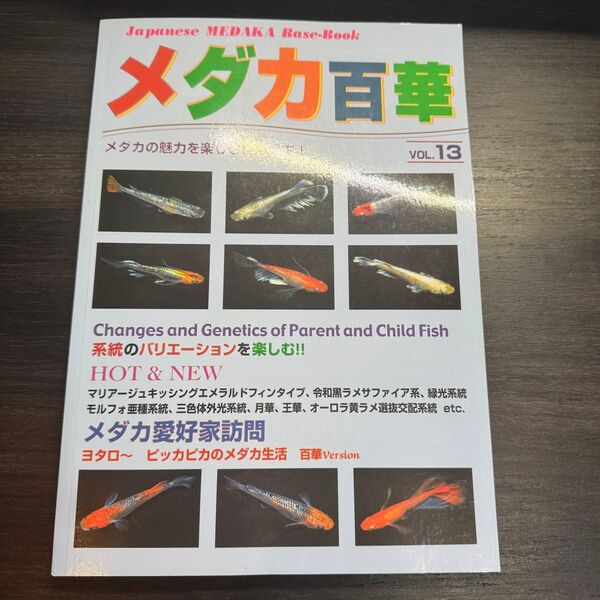 メダカ百華 VOL.13