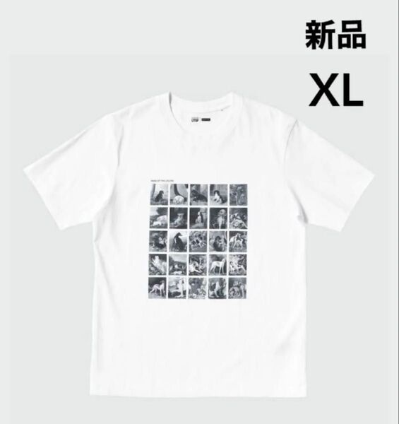ユニクロ UTGP2024 ルーヴル美術館 Tシャツ XL 新品