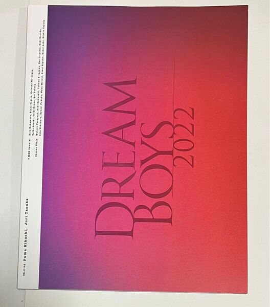 DREAM BOYS ドリボ 2022 パンフレット 菊池風磨 田中樹 A