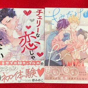 チェリーな恋じゃいられない、きみだけをたべさせて 2冊セット