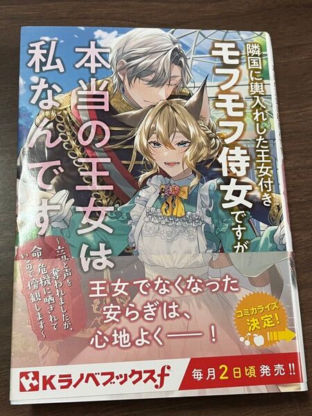 隣国に輿入れした王女付きモフモフ侍女ですが、本当の王女は私なんです