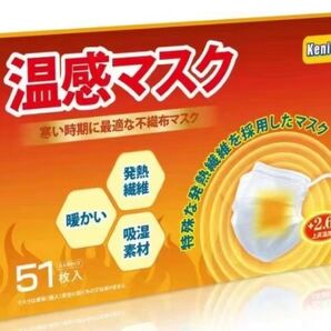 温感マスク★ぽかぽか★不織布マスク 51枚入り ホワイト白 大人 冬 新品未開封 耳が痛くなりにくい 大容量 送料無料 匿名配送