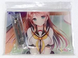 Nintendo Switch HOOKSOFT どっちのiが好きですか? Amazon特典アクリルプレート/ねたろぅ ものと 綾瀬はづき