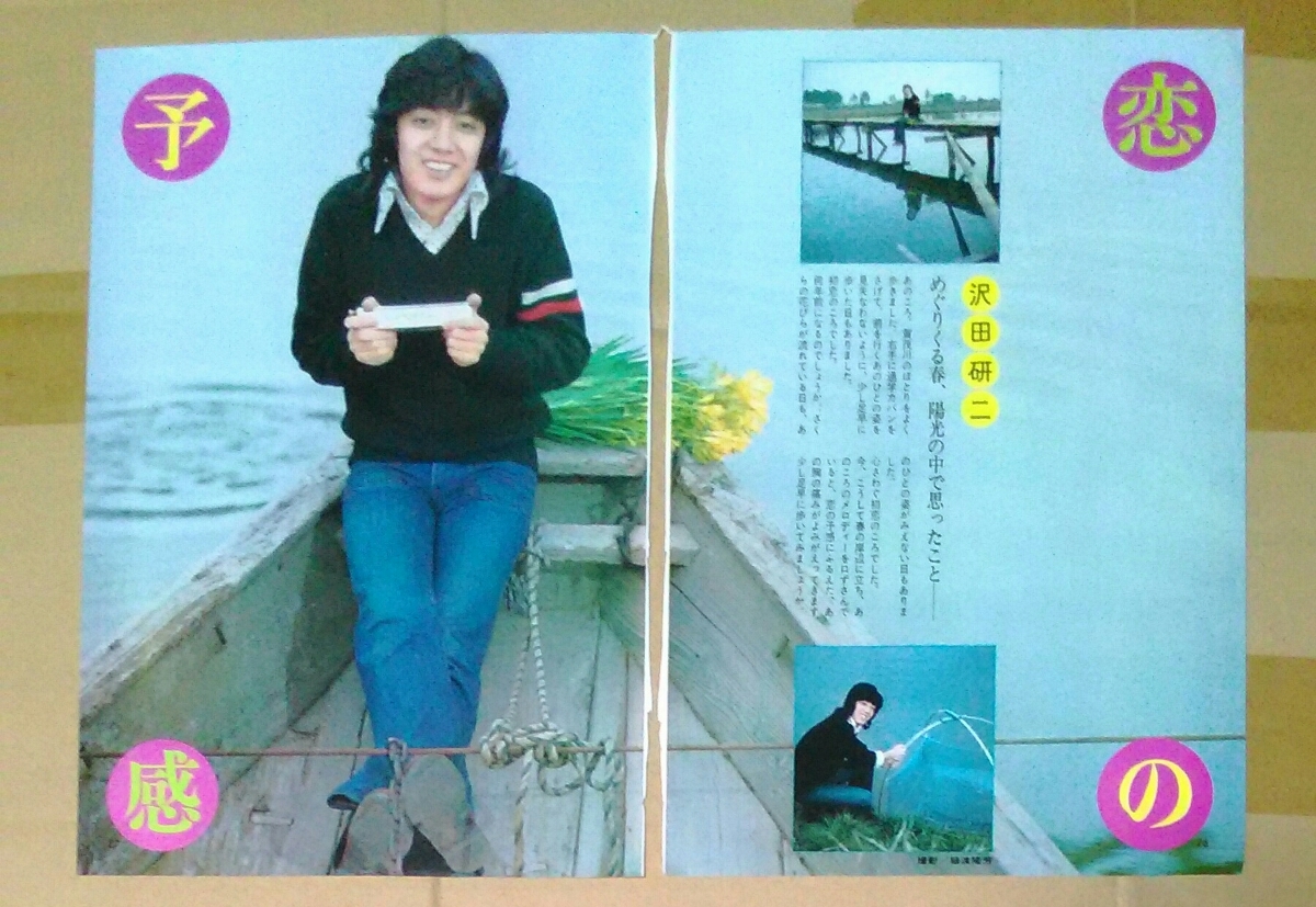 モール 沢田研二 2007 CONCERT SHOGATSU ワイルドボアの平和 DVD【未