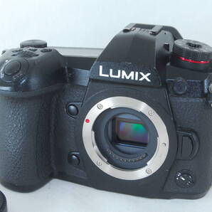 ★実用良品★Panasonic パナソニック LUMIX ルミックス DC-G9 PRO ボディ 34628ショット♪