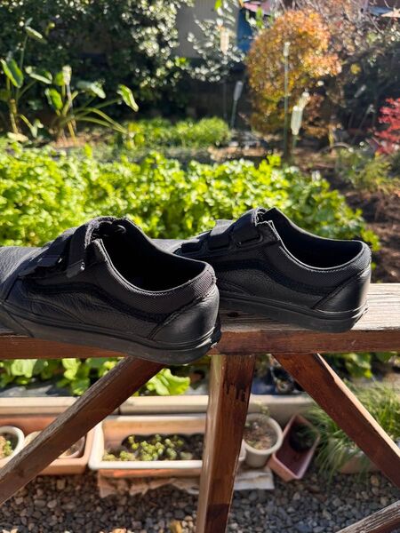 VANS ベルクロ