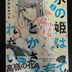 氷の姫は小さな陽だまりでとかされたい 1