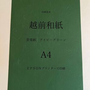 越前和紙 雲竜紙 アイビーグリーン A4 100枚