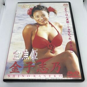 《激レア》金子志乃 金魚姫 イメージDVD