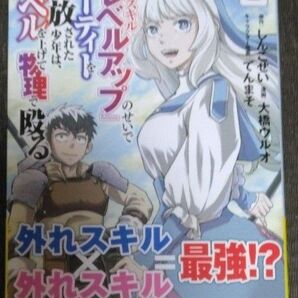 外れスキル『レベルアップ』のせいでパーティーを追放された少年は、レベルを上げて物理で殴る