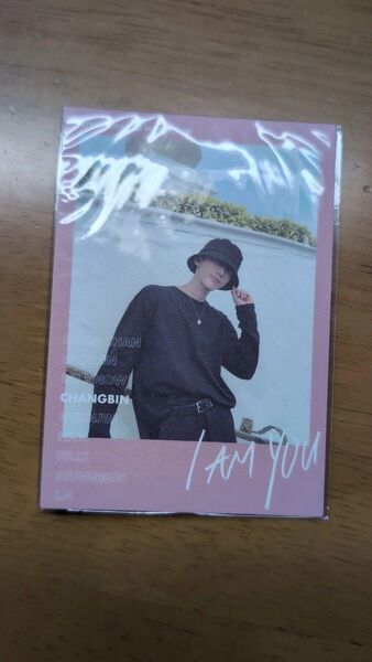 StrayKids ストレイキッズ チャンビン ちゃんびん トレカ トレーディングカード