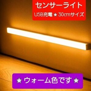 最新♪緊急時便利な人感センサーライトLED USB充電 モーションセンサー 1本