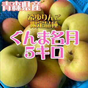 ラスト1箱!【青森県産】【群馬名月】5キロ りんご 家庭用 訳あり 林檎 果物 フルーツ