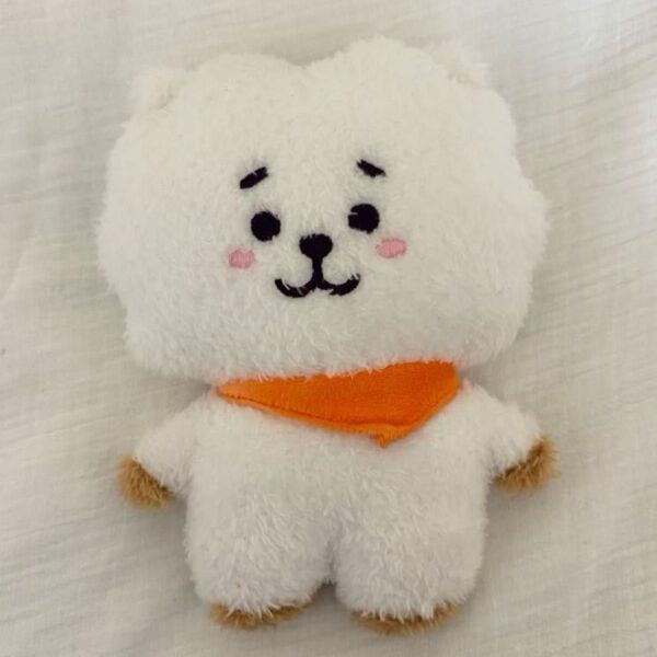 BT21 たっとん RJ