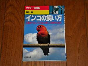  color illustrated reference book parakeet. .. person popular pet, parakeet . skillful . attaching .. therefore . height tree one .