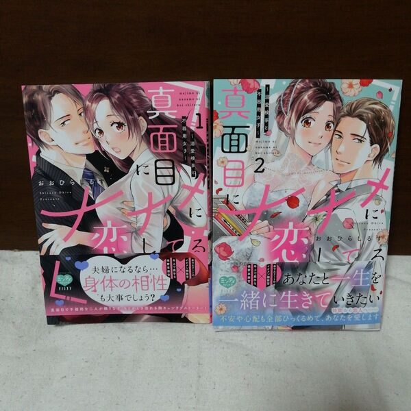 真面目にナナメに恋してる ~溺愛検事と不器用女子~ 全②巻
