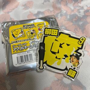 ソフトバンクホークス 柳田悠岐