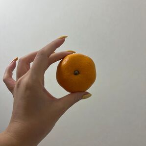 みかん