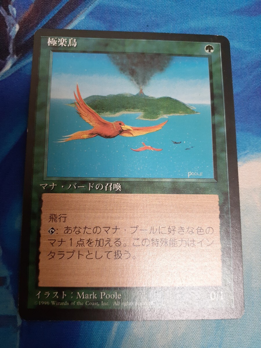 Yahoo!オークション -「mtg 極楽鳥」(緑) (ノーマルカード)の Yahoo!オークション -「mtg 極楽鳥」(緑) (ノーマルカード)の