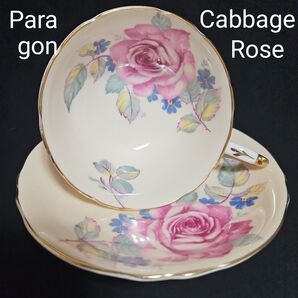 パラゴン キャビッジローズ ピーチピンク カップ&ソーサー Paragon