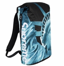 ② 新品 黒 Supreme The North Face Statue of Liberty Waterproof Backpack シュプリーム バックパック 自由の女神 ノースフェイス_画像2