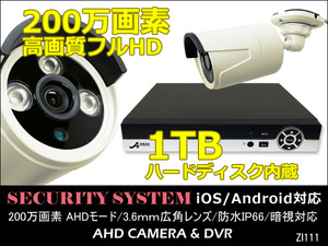 防犯カメラセット 高画質フルHD 200万画素 DVR 1TBハードディスク内蔵 Ipad iPhone対応 カメラ1台付き/20