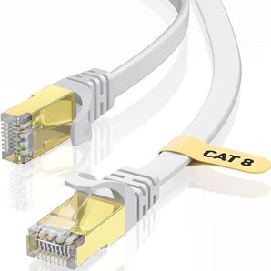 LANケーブル フラットケーブル ホワイト