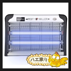 ハエ取り器 室内電動蚊 室内用 ハエ取り器 キッチン ガーデンフルーツトラップ MS600 ブラック