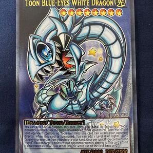 遊戯王 トゥーンブルーアイズホワイトドラゴン ACG