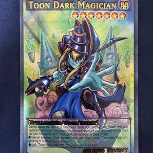 遊戯王 トゥーンブラックマジシャン ACG