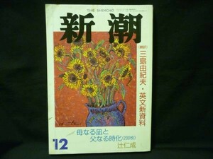 新潮 1993.12★評伝:死海の太陽-見者 平塚らいてう(200枚)/ほか