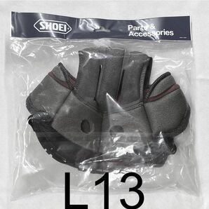 新型純正汎用センターパッド SHOEI ショウエイ X-11 X-9 マルチテック MULTITEC VFX-DT 使用可 L13