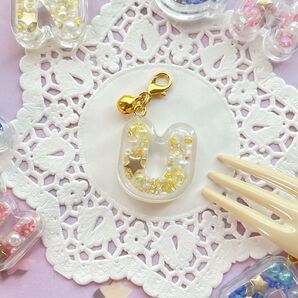 262 ミニシェイカーチャーム レジンチャーム アルファベット イニシャル 推し活 目印 チャーム