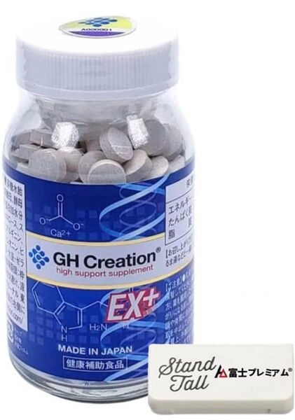 EX 300mg 270粒 サプリケース付き (270粒 (x 1) サプリ サプリメント