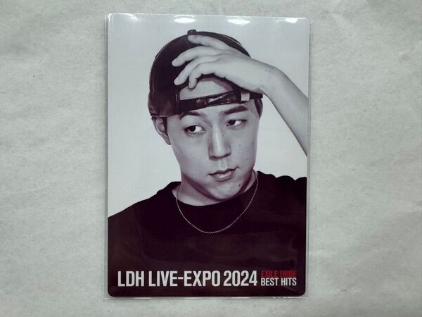 LDH LIVE EXPO2024 Fantastics 世界 フォトカ
