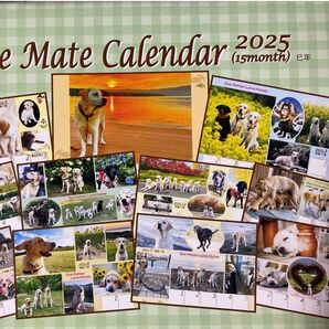可愛い♪ラブラドールいっぱいのカレンダー【2025年用】