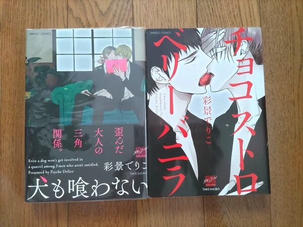 【即購入不可】彩影でりこ 2冊セット