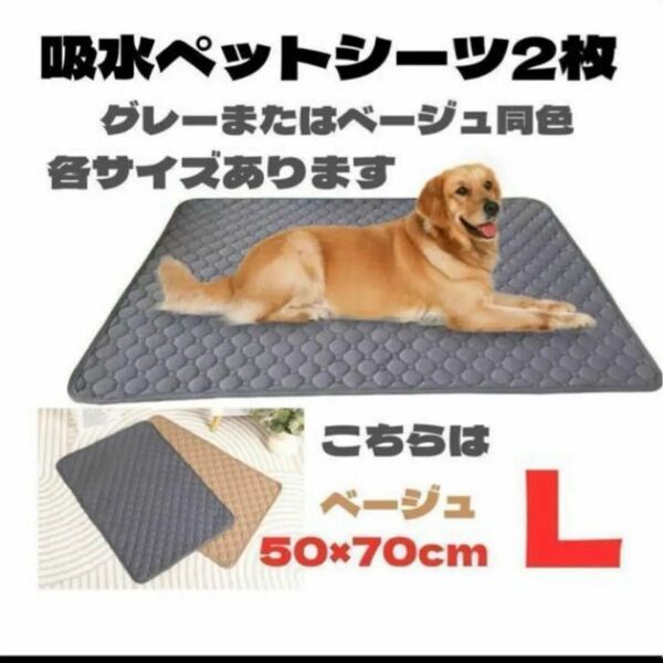 2枚 ペットシーツ ベージュ L 50×70 おねしょ おしっこ マット 洗える 汚れ 犬 ペットマット 吸水 トイレ 滑り止め