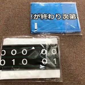 サンテレビ ボックス タオル 完売品 阪神タイガース 野球 応援 延長 ２枚