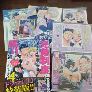 兄弟制度のあるヤンキー学園で、今日も契りを迫られてます ドラマcd blcd シチュエーションCD