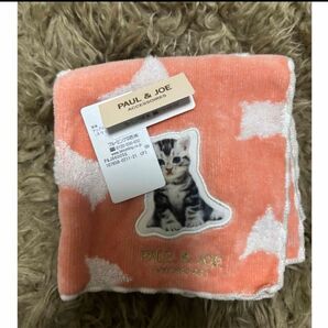 新品 ポール&ジョー 猫 ハンドタオル