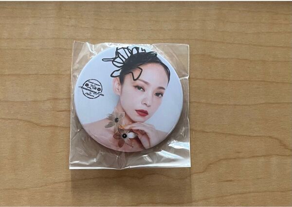 安室奈美恵マグネット