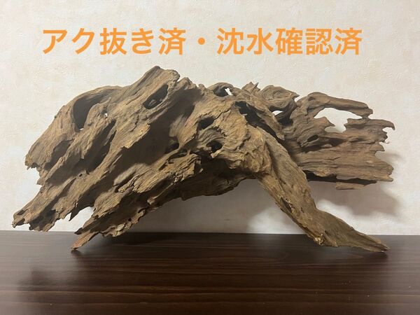 XM-293 ブランチウッド 流木 マシンガンウッド アクアリウム 沈水確認済