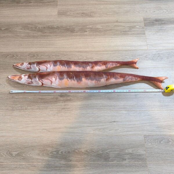 長さ100cm 大きなサンマのぬいぐるみ サンマ 秋刀魚 ぬいぐるみ