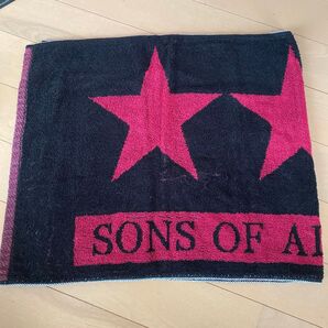 SONS OF ALL PUSSYS ラルク ken タオル